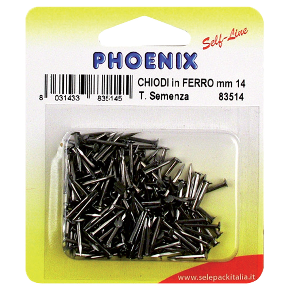 CHIODI FERRO TIPO SEMENZA - 12 Blister - immagine 2