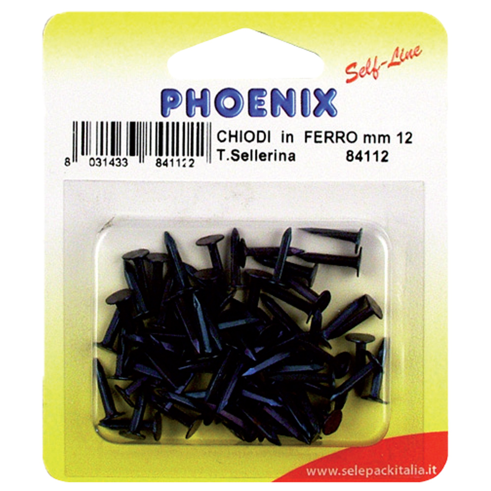 CHIODI FERRO TIPO SELLERINA - 12 Blister - immagine 2