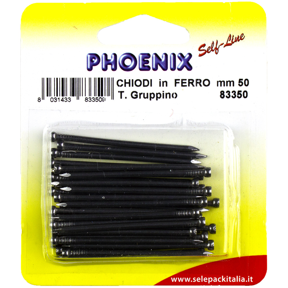 CHIODI FERRO TIPO GRUPPINO - 12 Blister - immagine 2